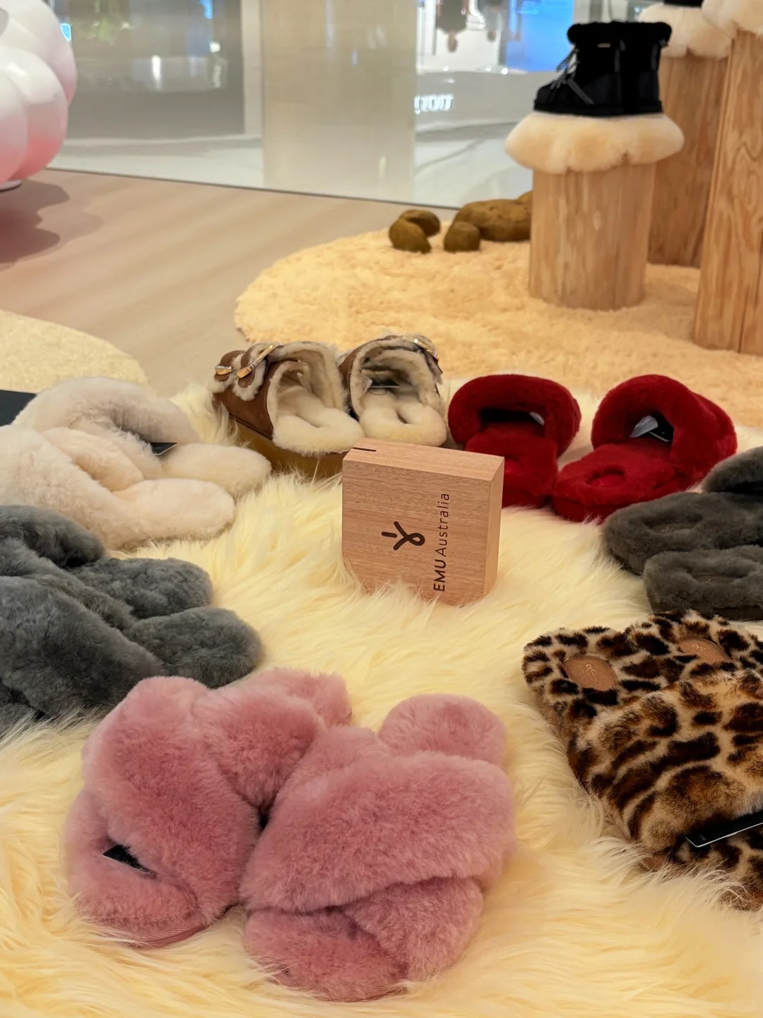 薅到了真羊毛🦙🧶