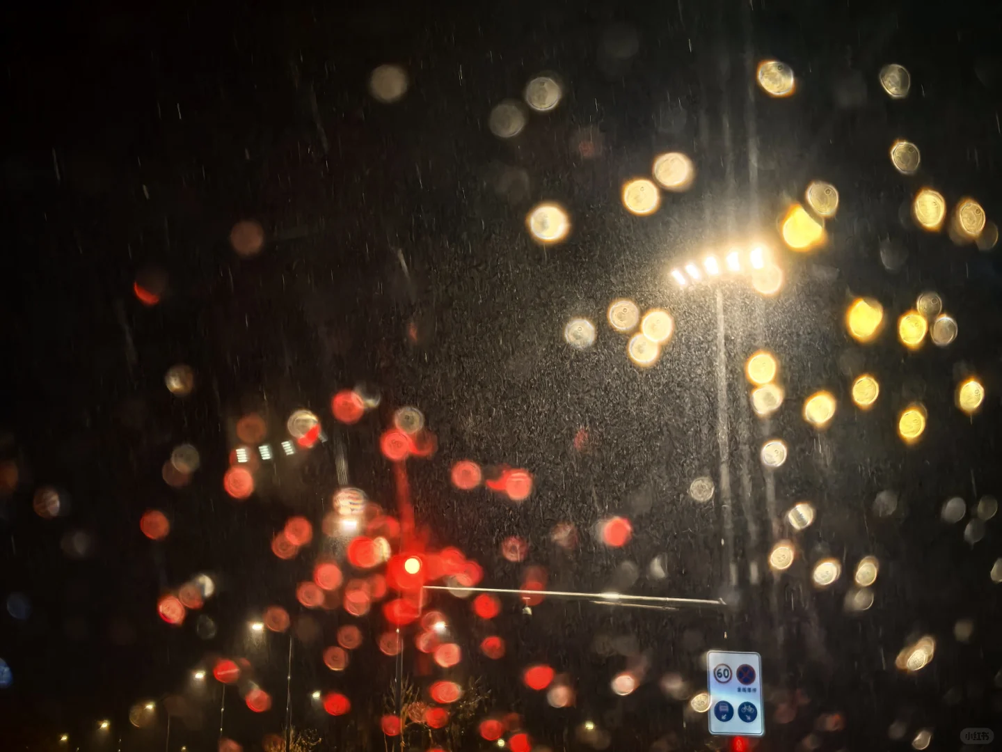 降雪天的路灯，真的好美耶！