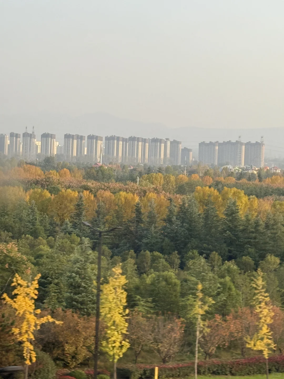 却道天凉好个秋