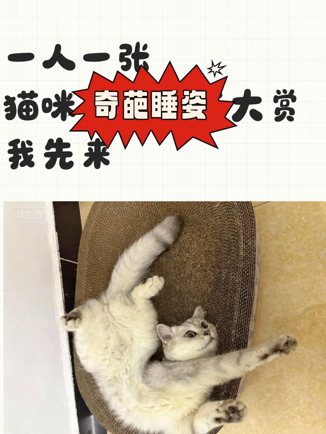 一人一张，猫咪奇葩睡姿大赏，我先来