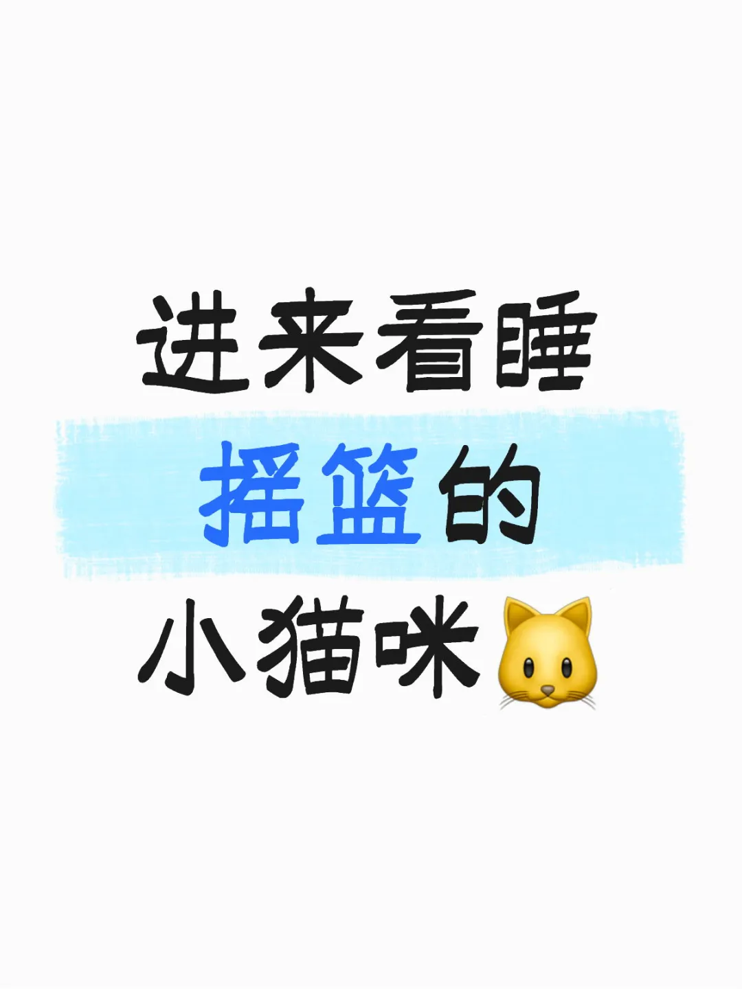 黏人的布偶猫🥰