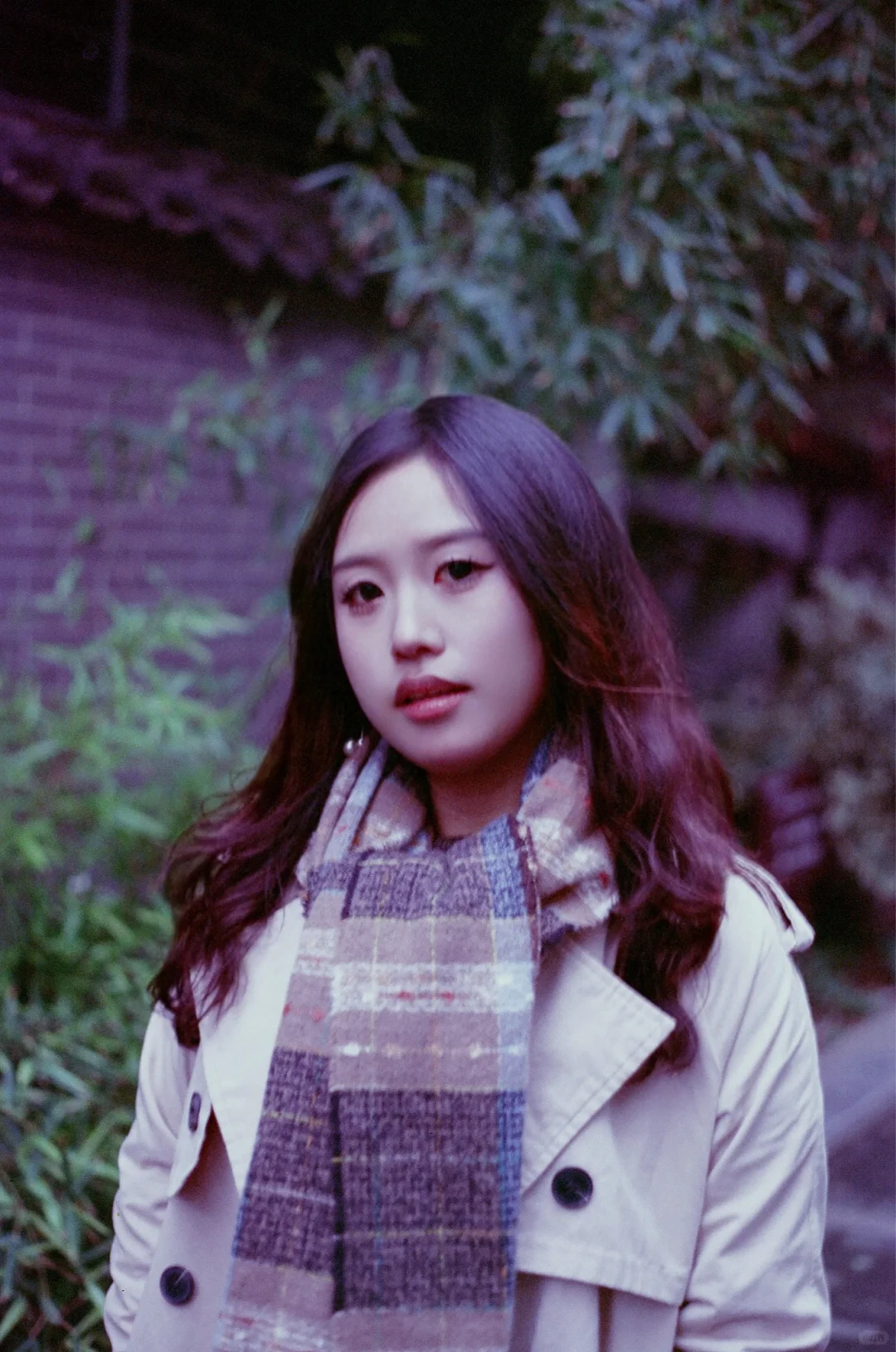 🎞️风里已经有了冬天的味道