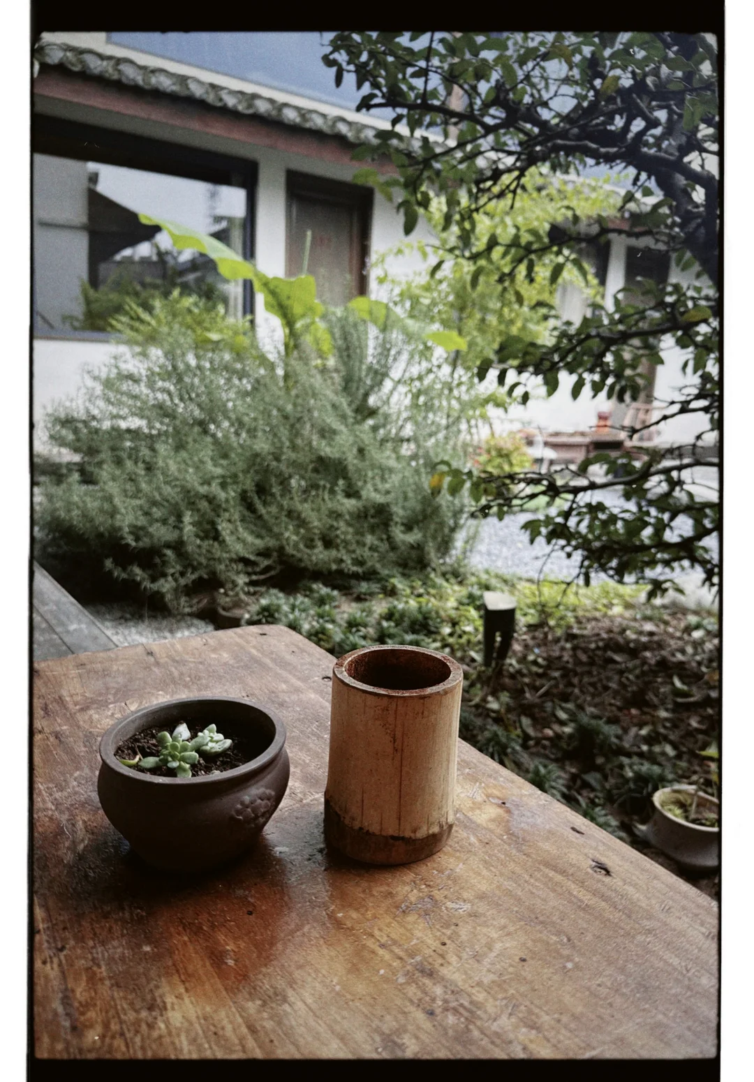 却道天凉好个秋