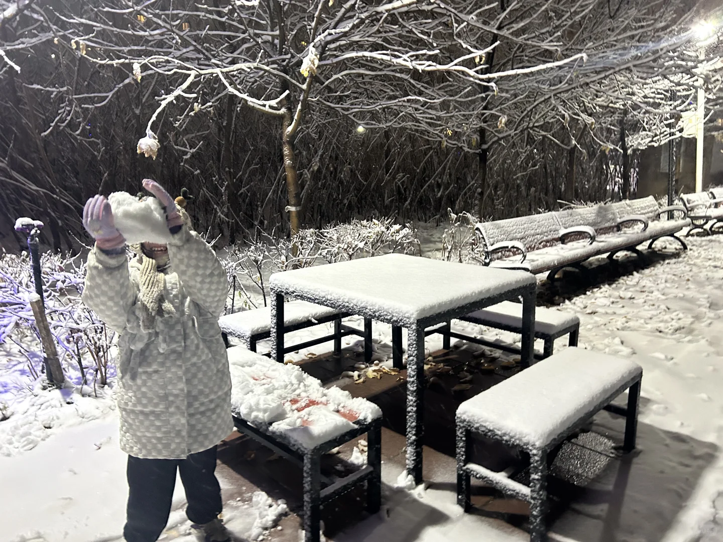 夜雪，真的好美啊！❄️