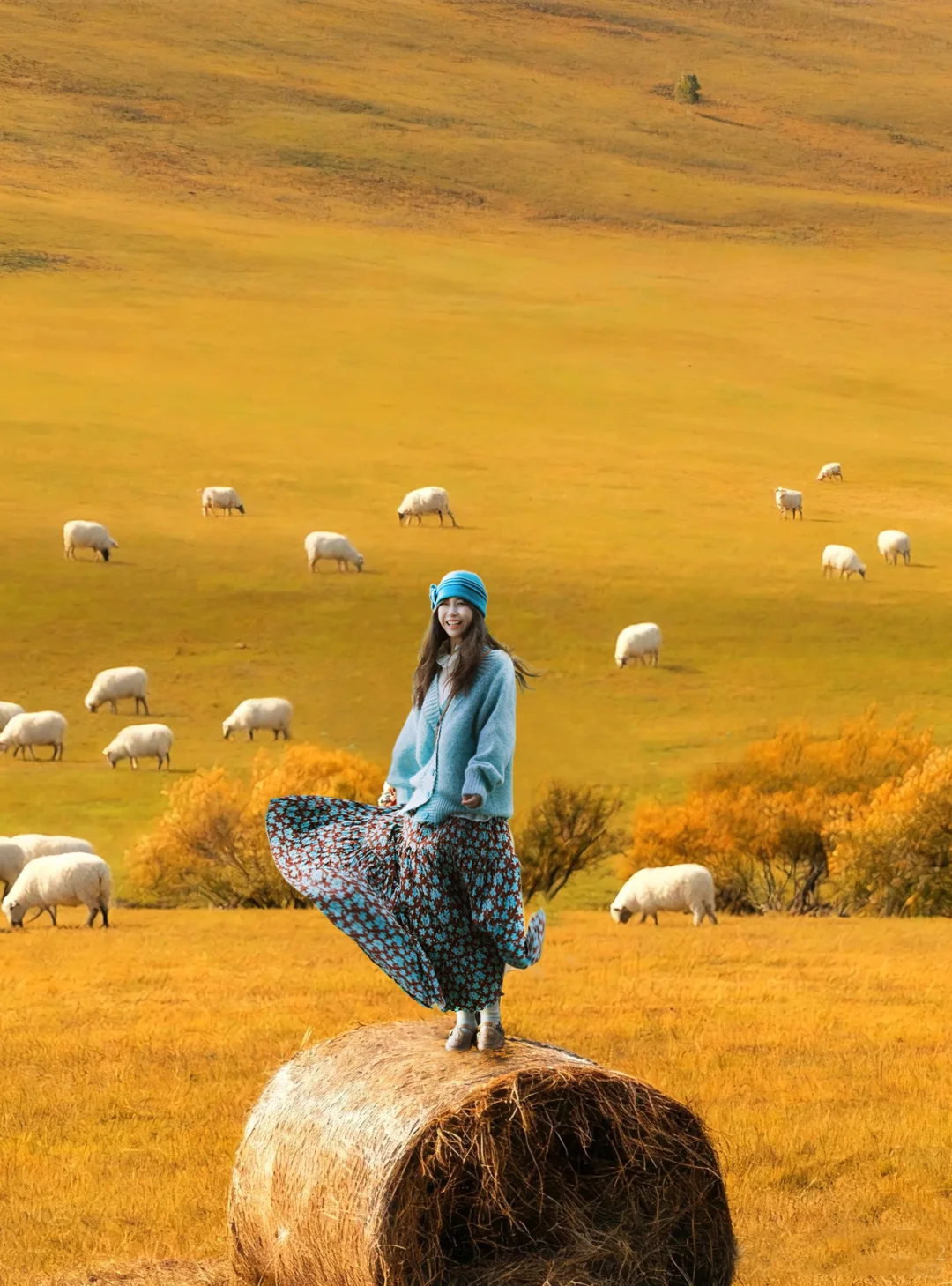 秋天的呼伦贝尔🍂｜随手拍都是壁纸大片！