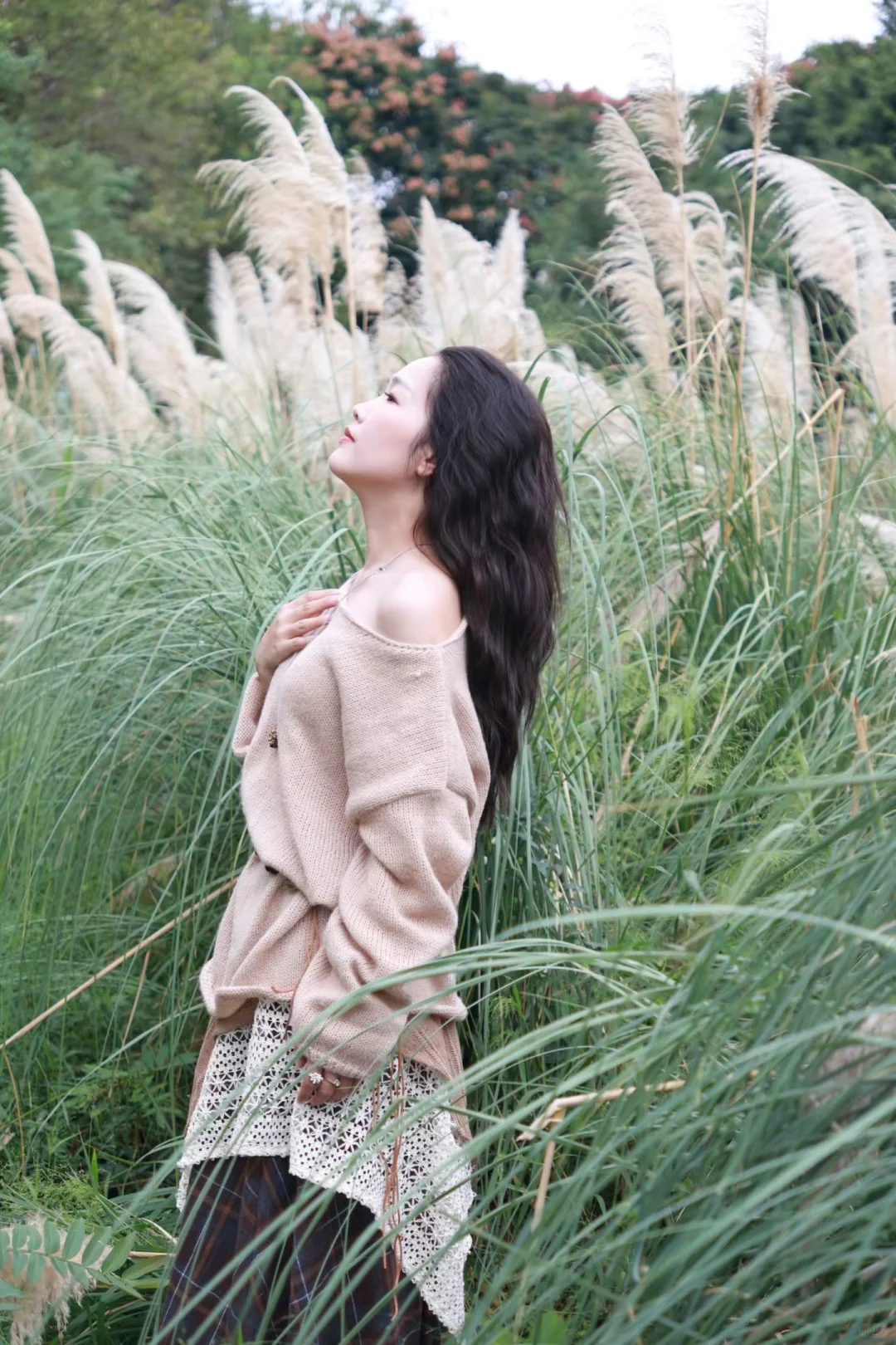 福州/陪拍｜阴天的芦苇📷