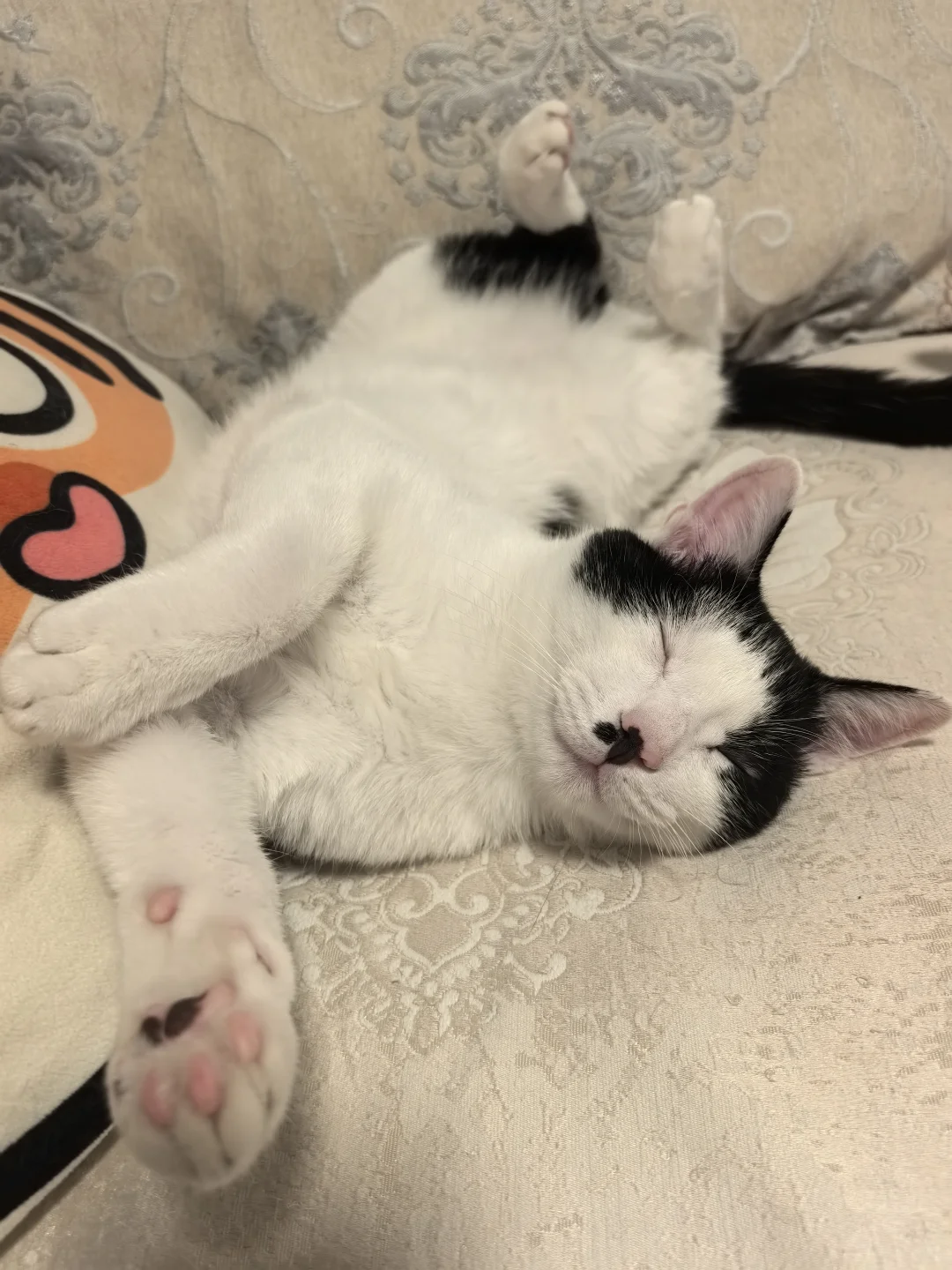 今天也有乖乖睡觉哦