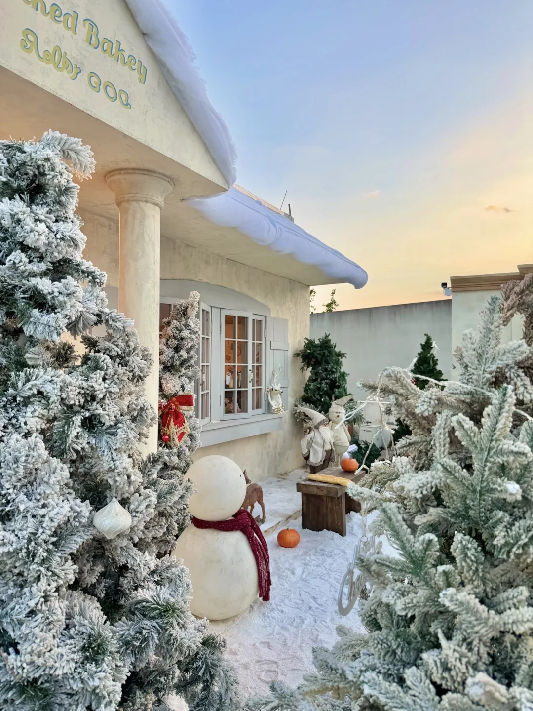 预测会是成都下一个爆火的地方❄️🎄✨全live