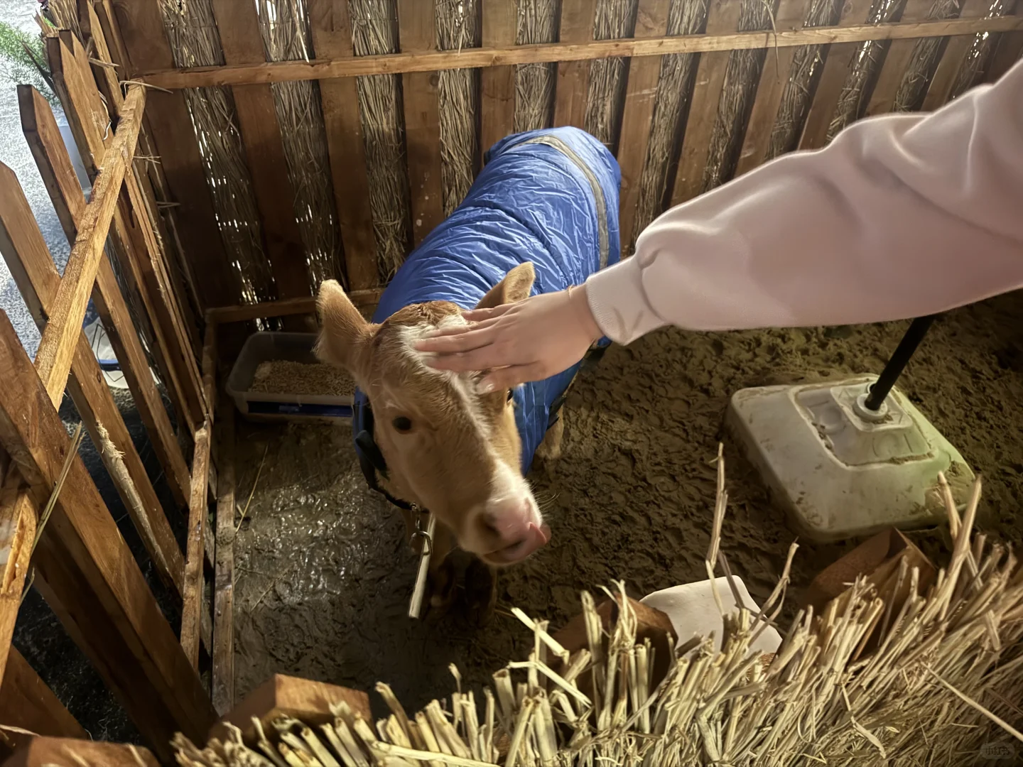 欢迎步入三十俱乐部