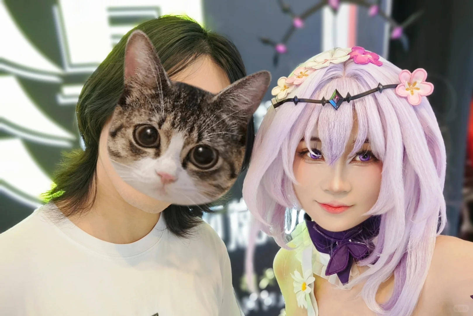 【生命因何而沉睡】