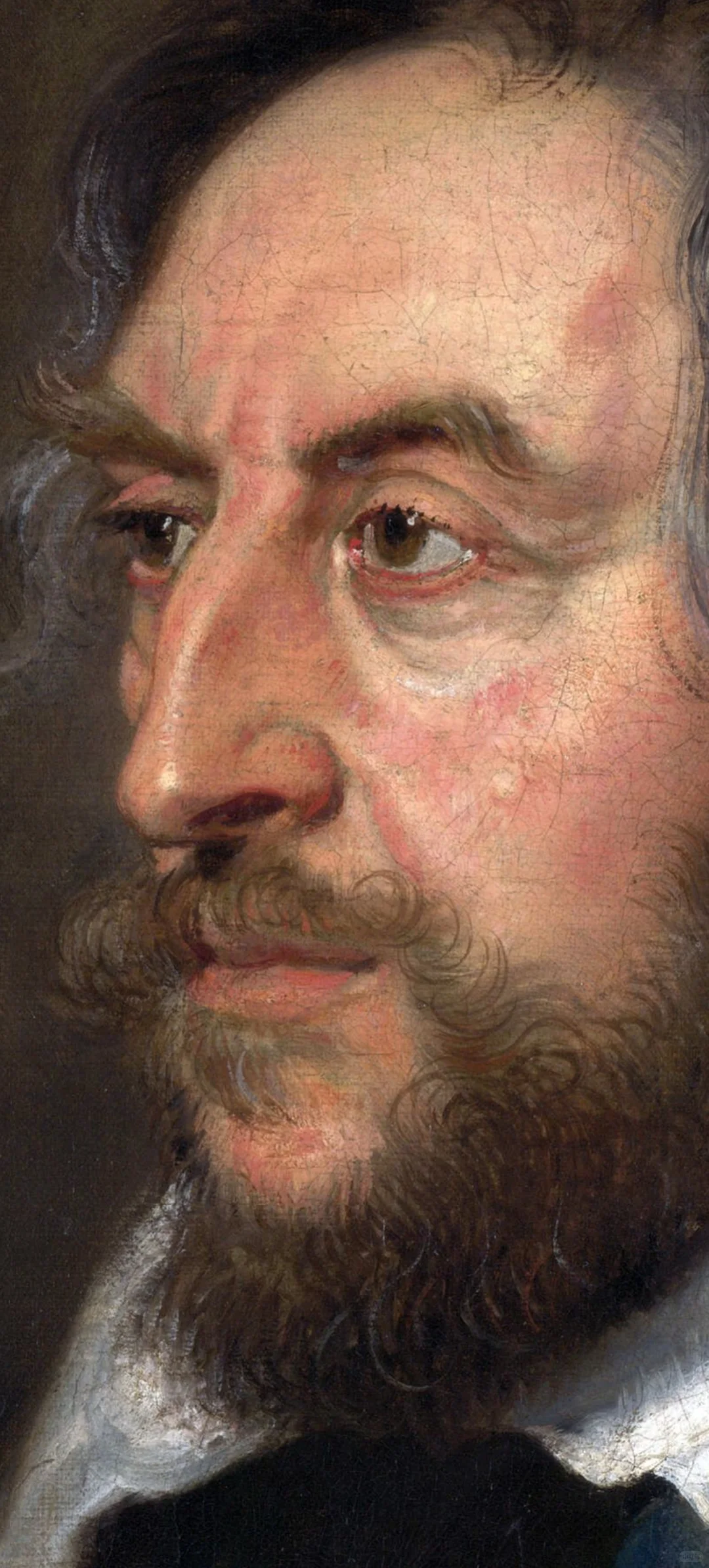 鲁本斯的作品欣赏