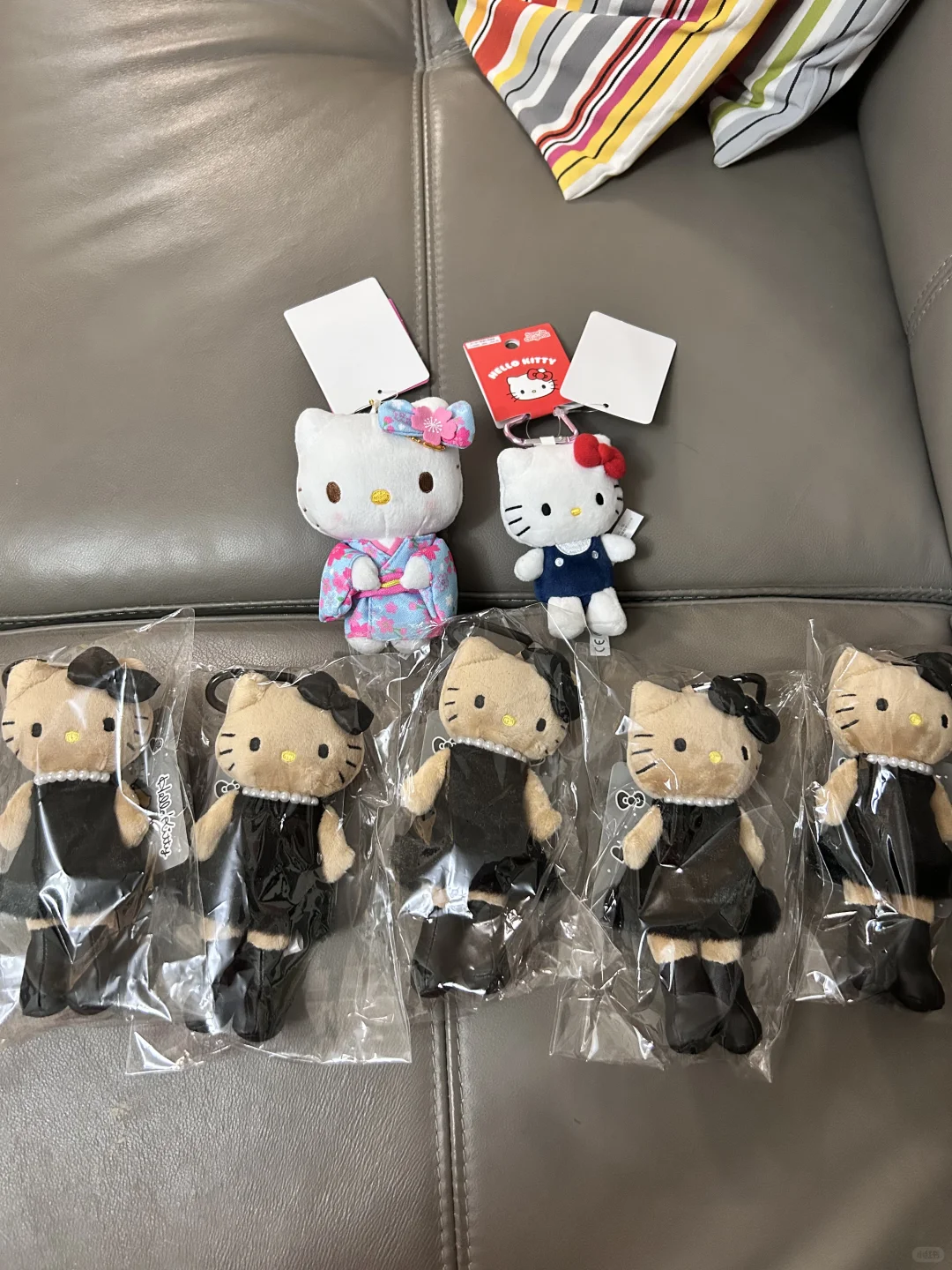 今日长腿女明星kitty