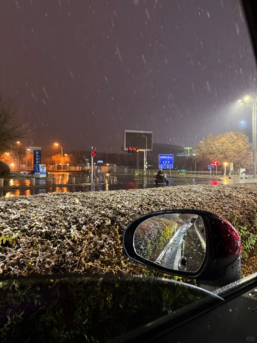 我的城市下雪了❄️