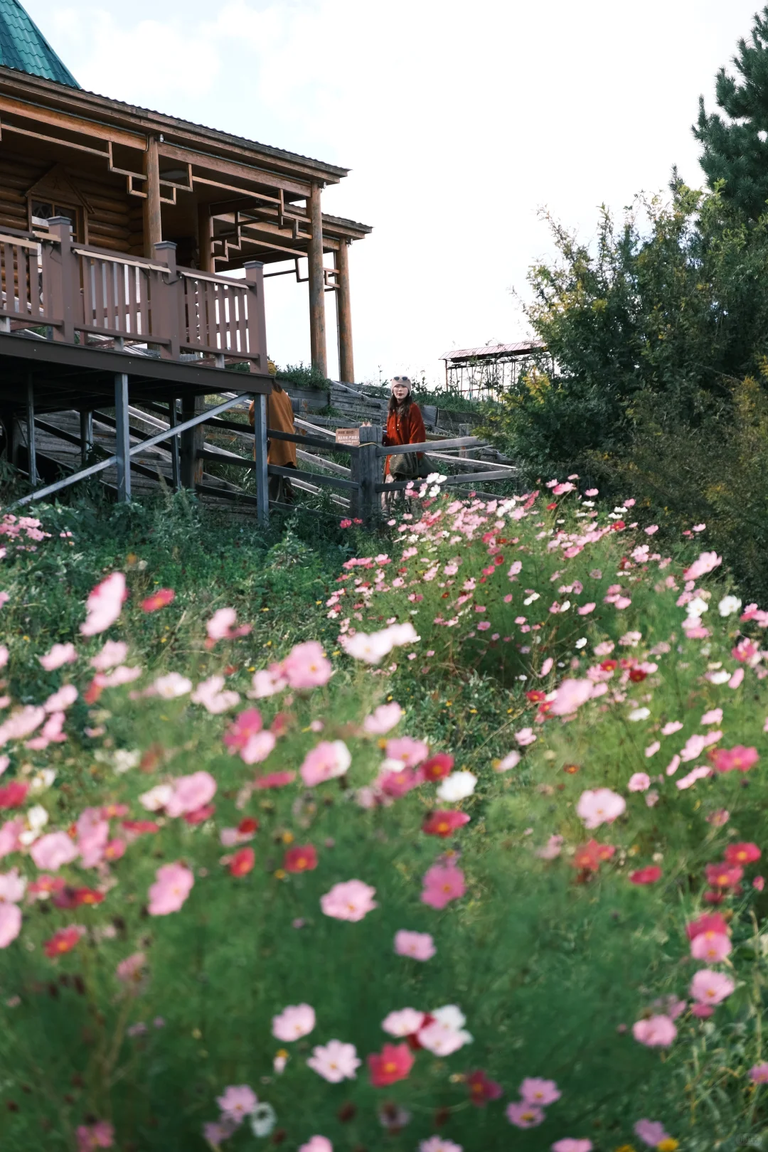 内蒙古穿搭｜额尔古纳湿地的秋天有七层颜色