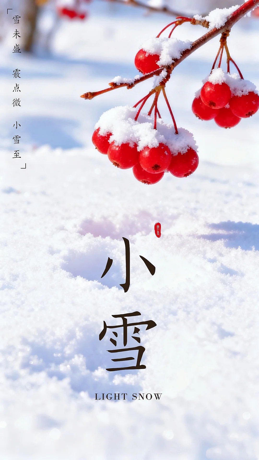 小雪，期待一场与雪的邂逅