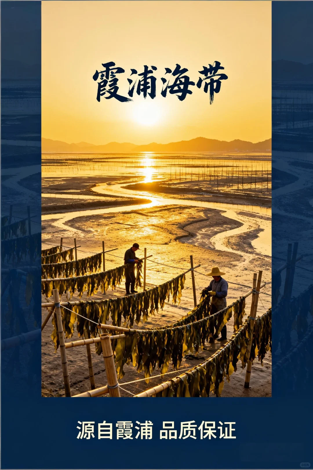 想吃海带了，赶在秋天之前