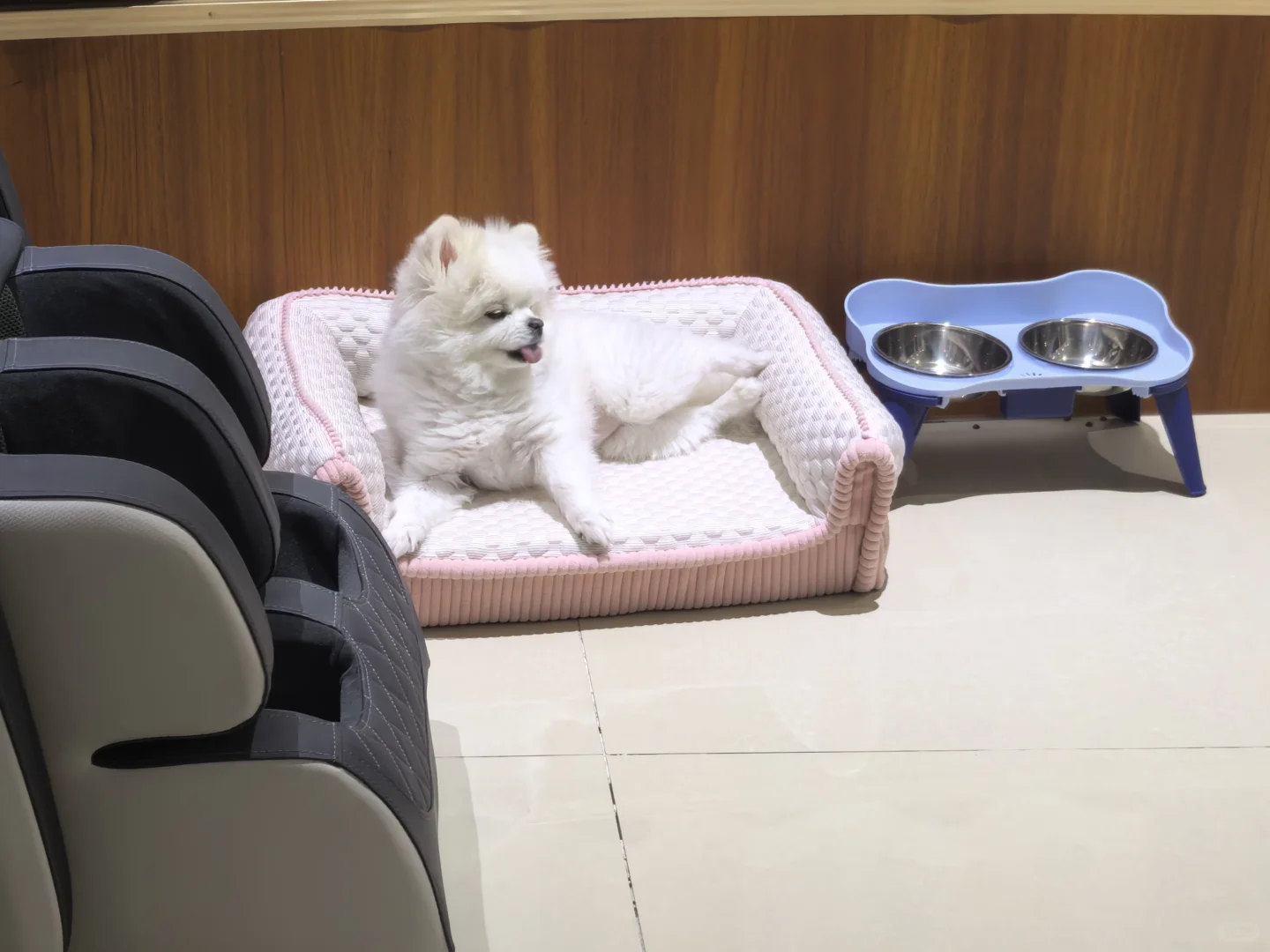 家里的小可爱来咯～～～