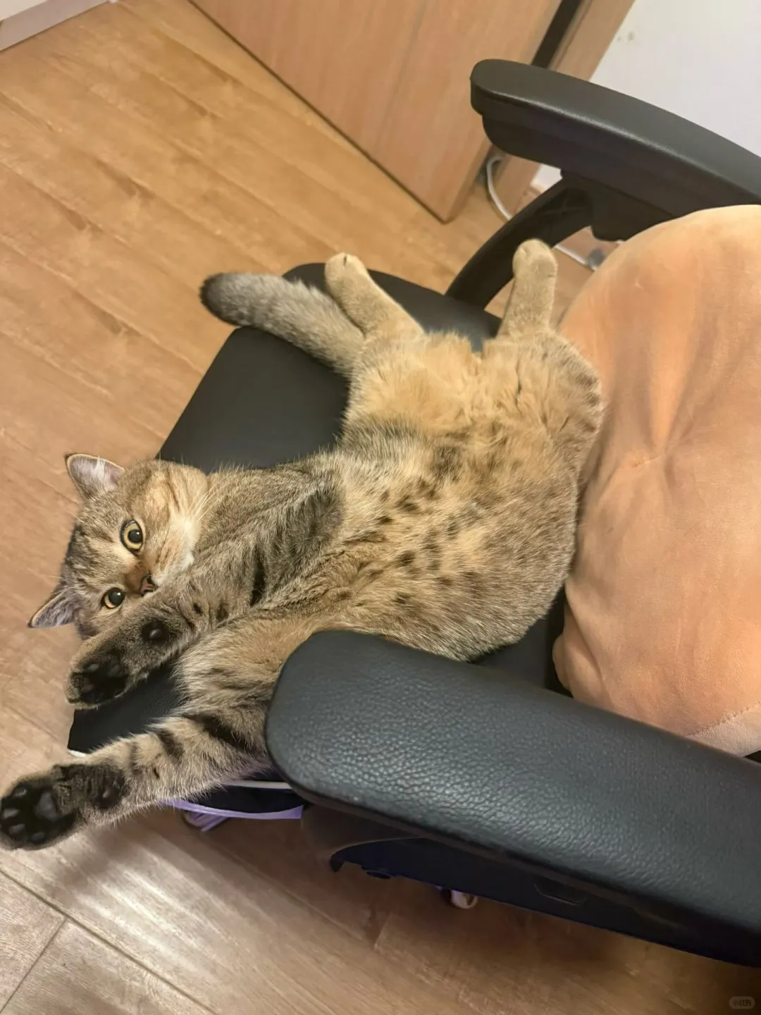 天天净整这样，躺的狂七八糟🤣🤣