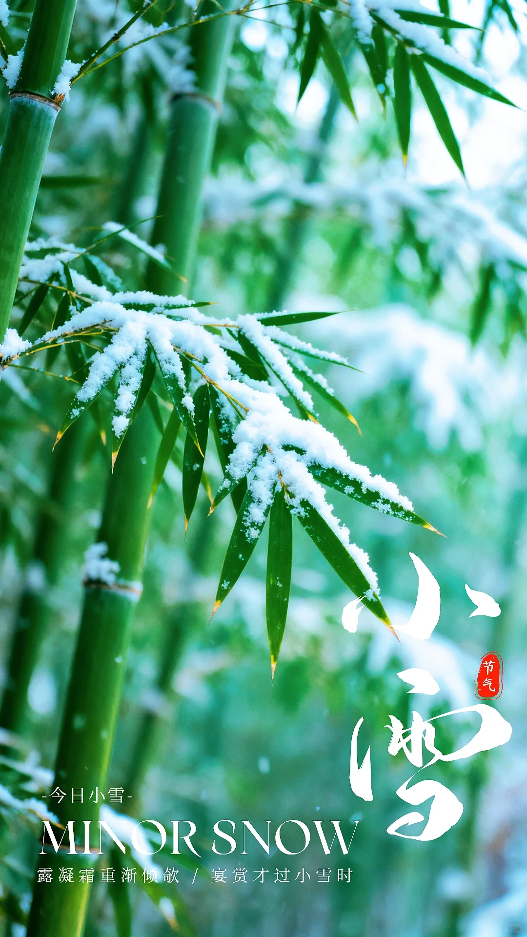 小雪：冬的温柔序章，藏在烟火与诗意里