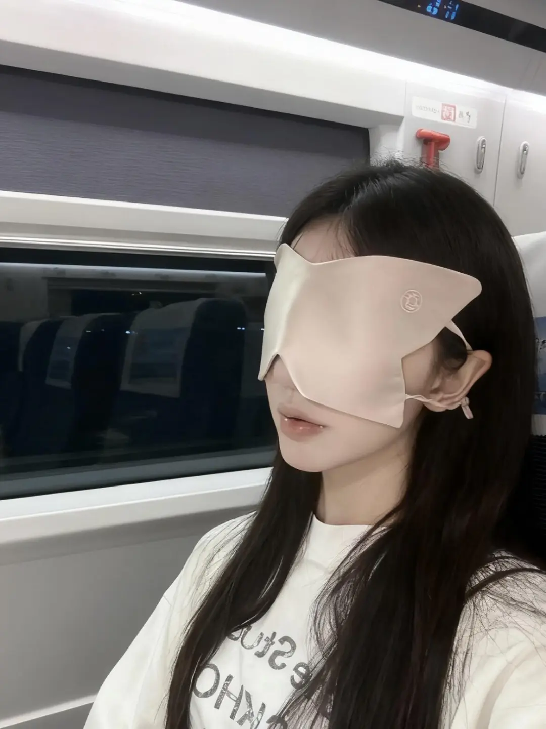 高铁上睡觉的我，撩了个女宝😘