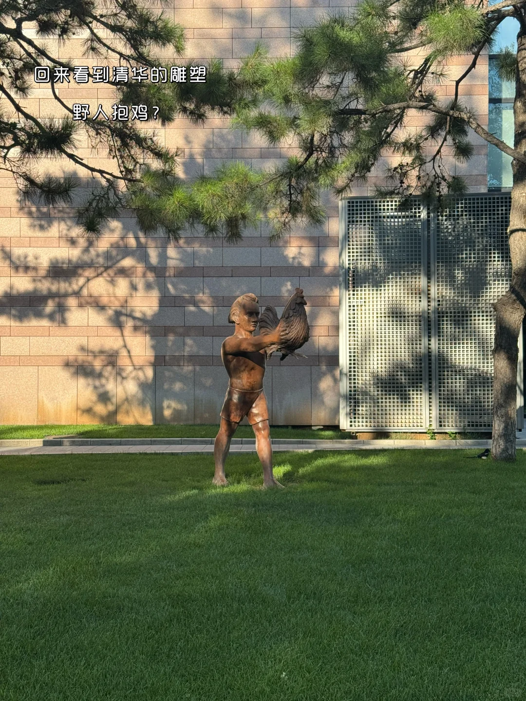 清华博一|治愈科研焦虑的宝藏店铺✨