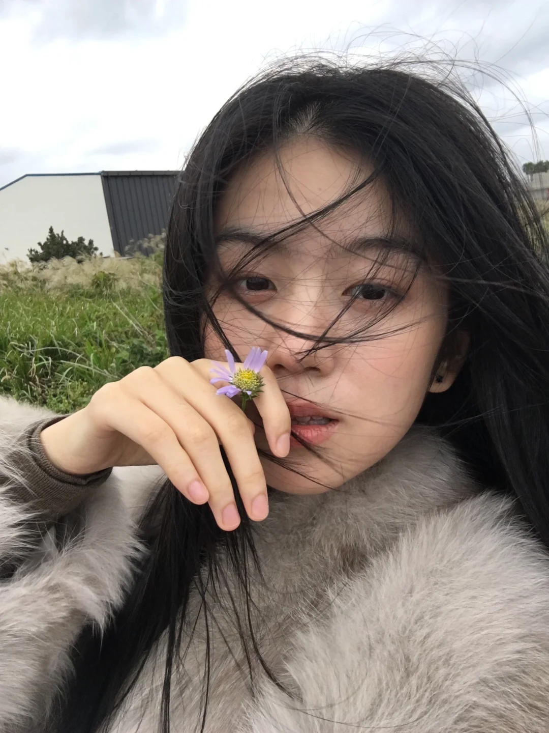 美丽女人在济州