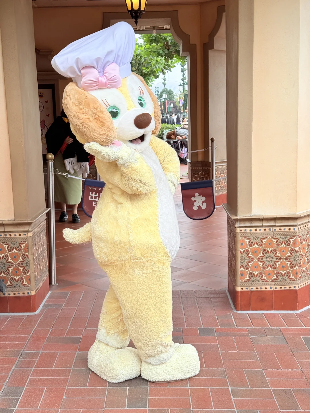 妖娆的饼女士🍪（摸到肚肚版