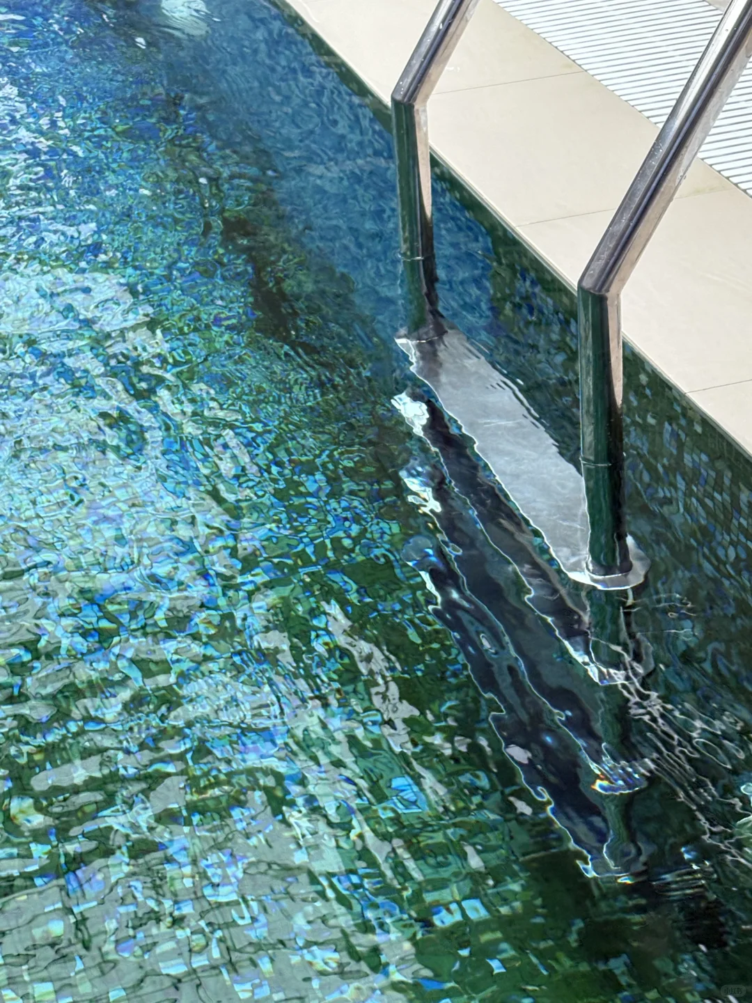 西郊学游泳包门票！！！