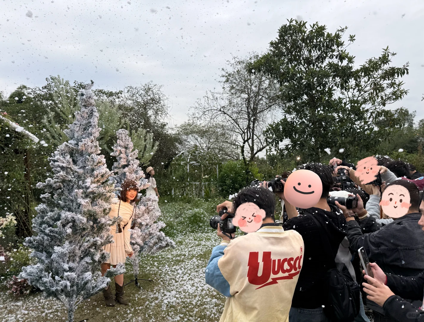 成都&可颂|当用情绪诠释四季