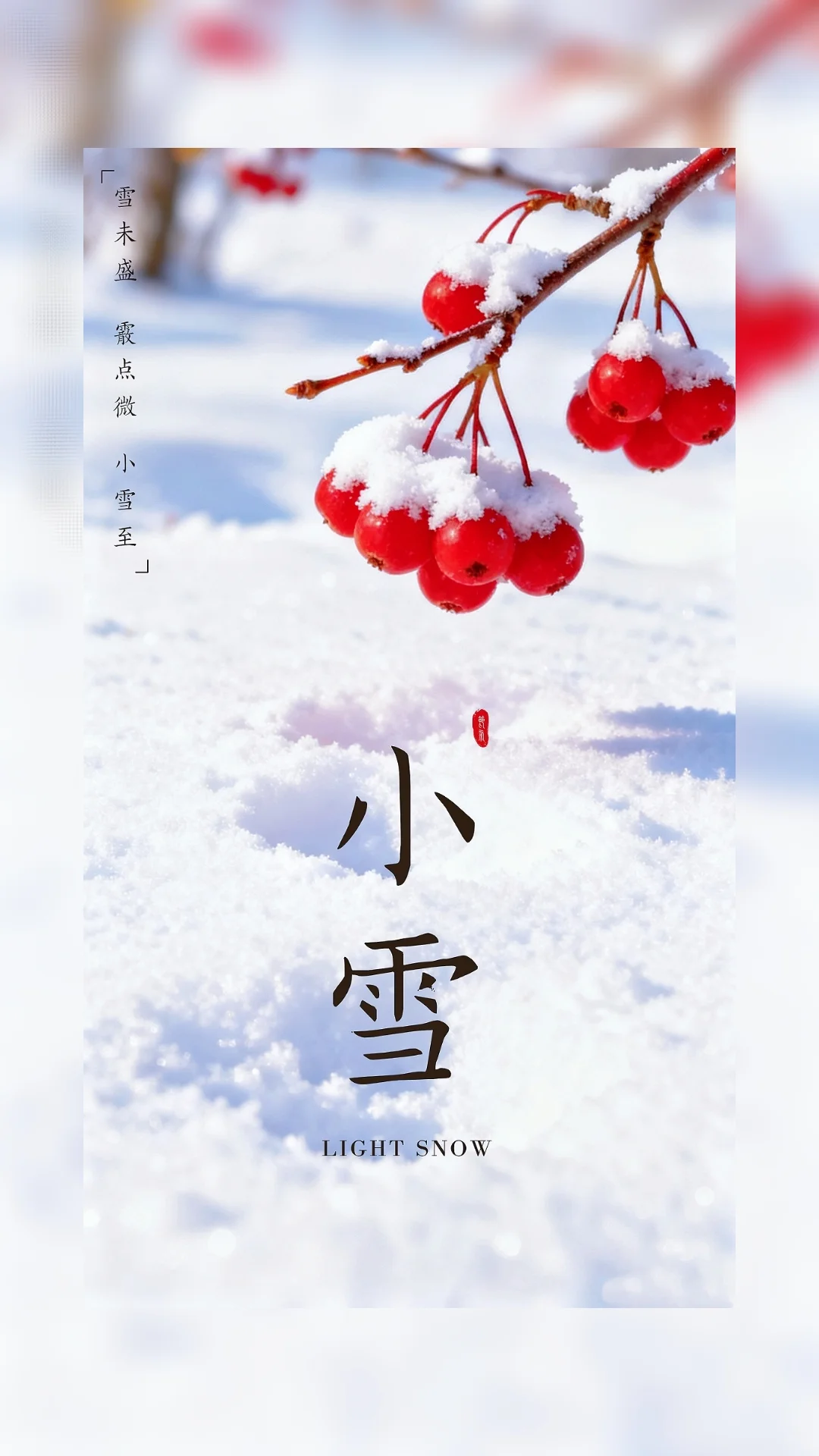 小雪，期待一场与雪的邂逅