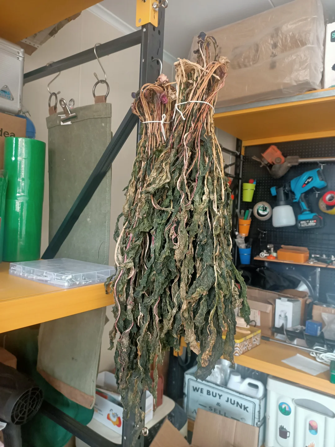 我那些妖娆的白萝卜啊！