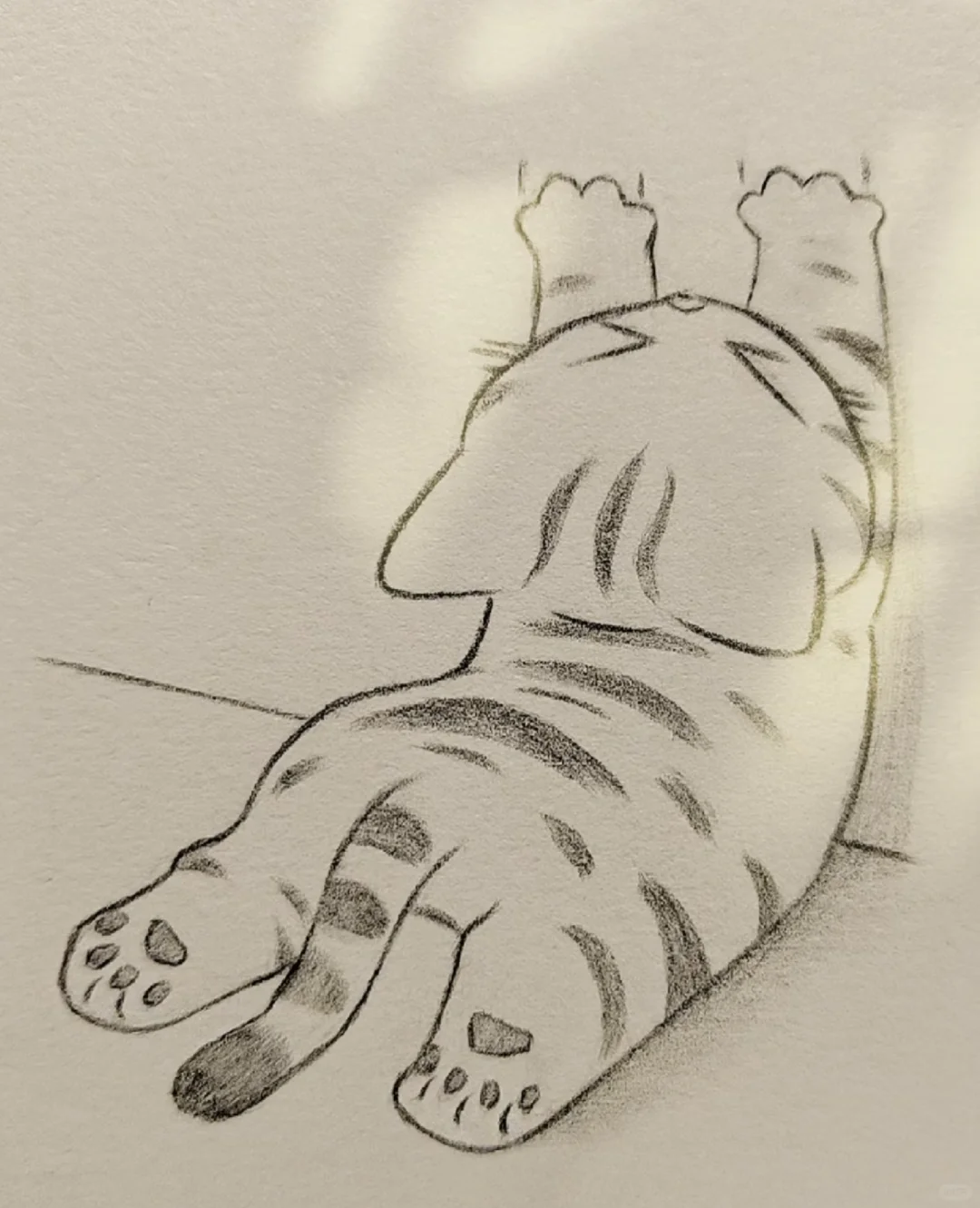 想要一个猫咪奇葩睡姿的评论区