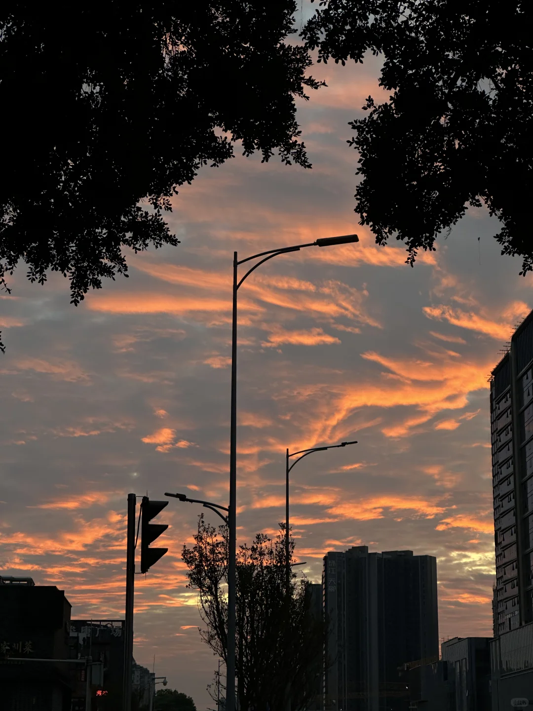 枣！上！耗！游泳人🏊