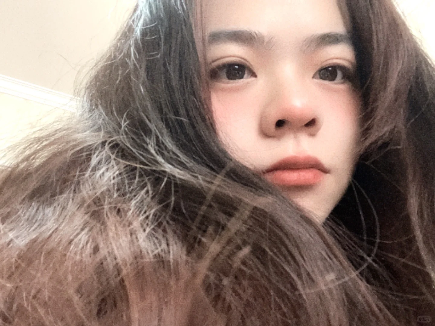 这是什么神仙游戏，太好玩了！