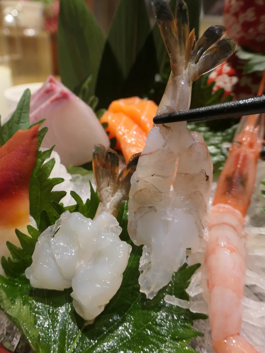 船稻现握寿司刺身&现炸天妇罗鲜到入魂！！