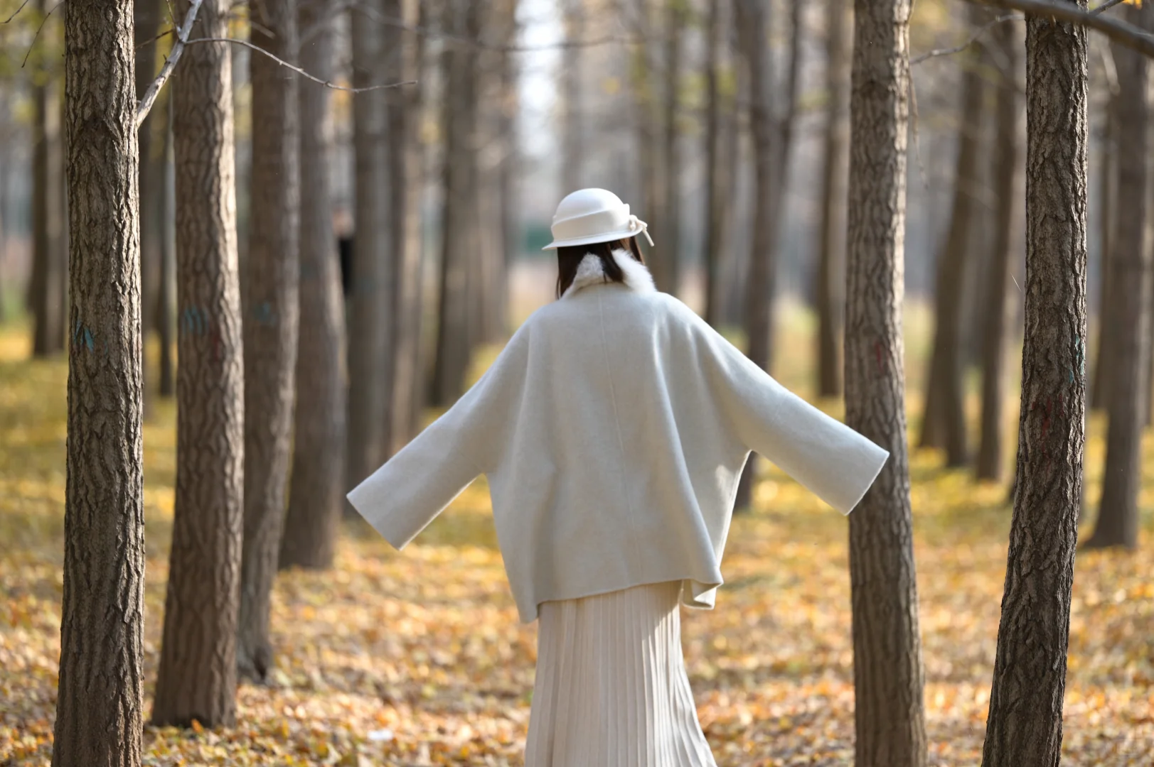 11.5胶州万亩林场摄影摆摊