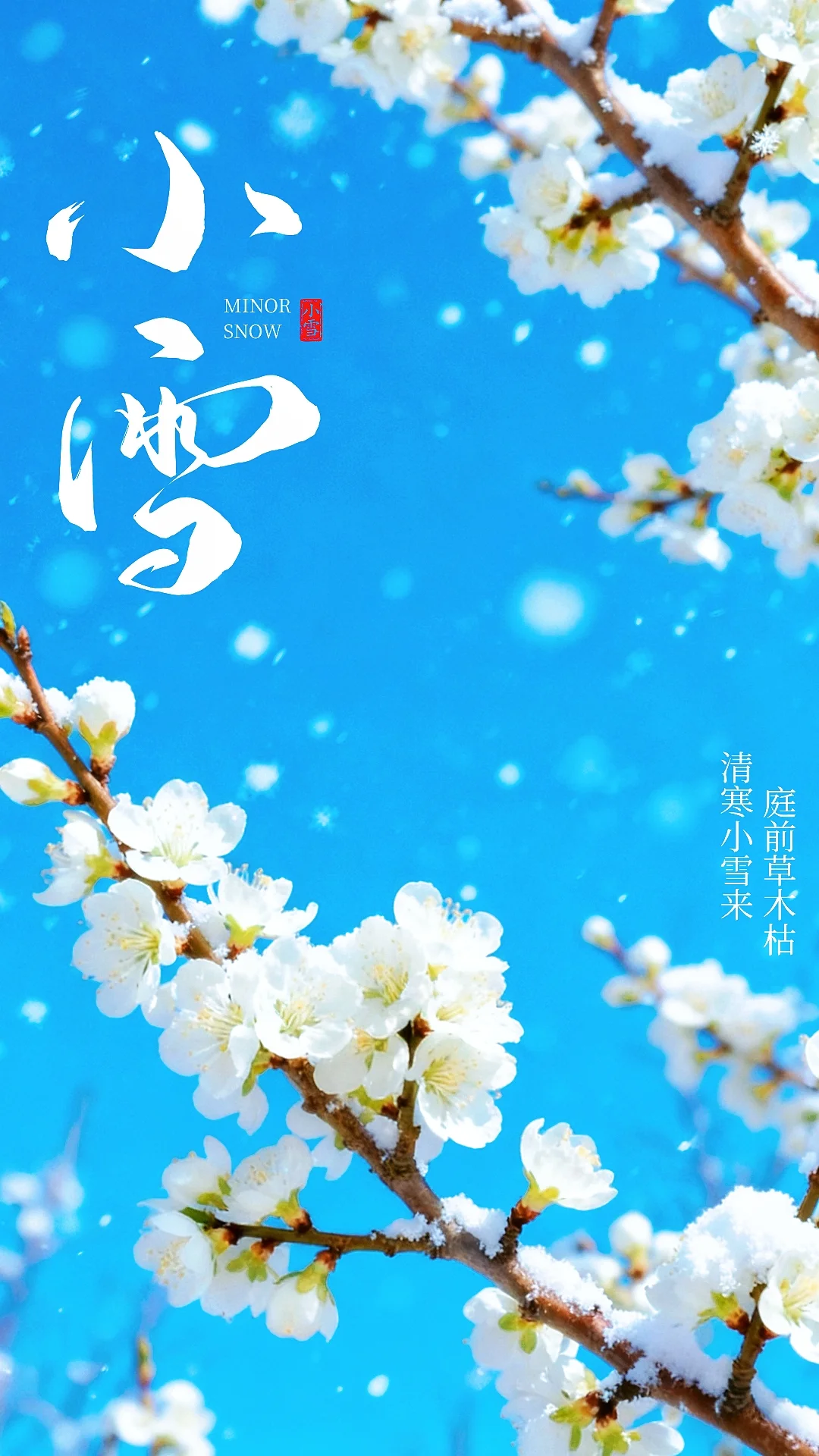 小雪，期待一场与雪的邂逅