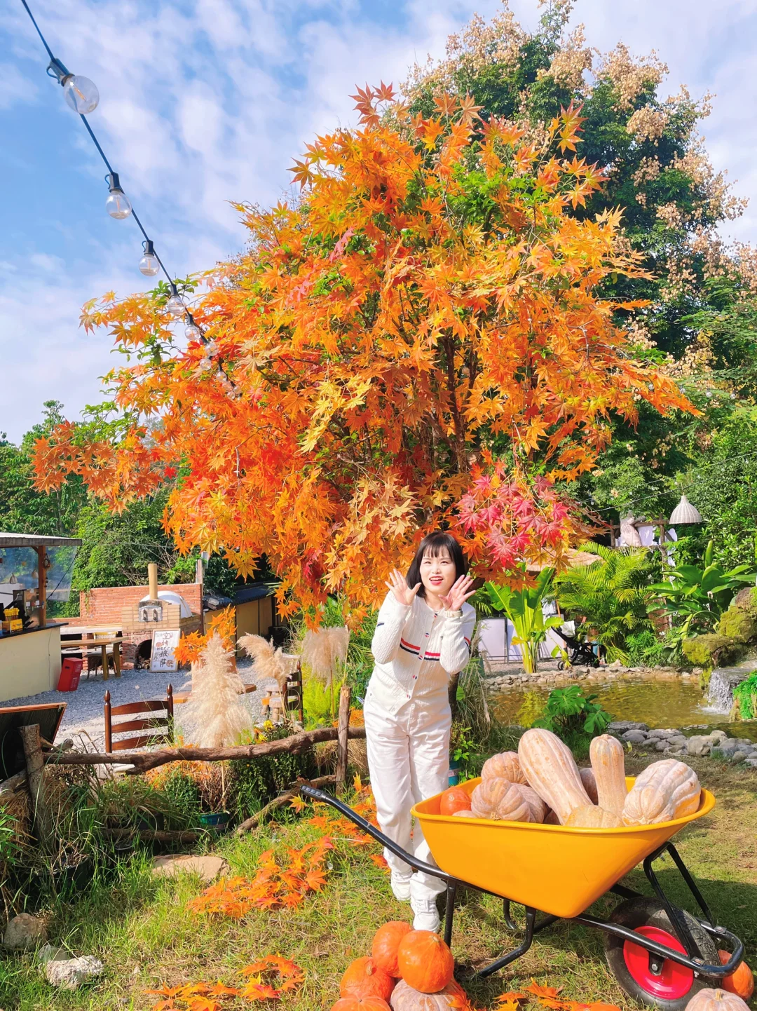 找到了！秋天来这拍真的绝！