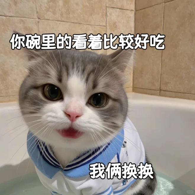 适合聊天专用的杂七杂八情侣表情包