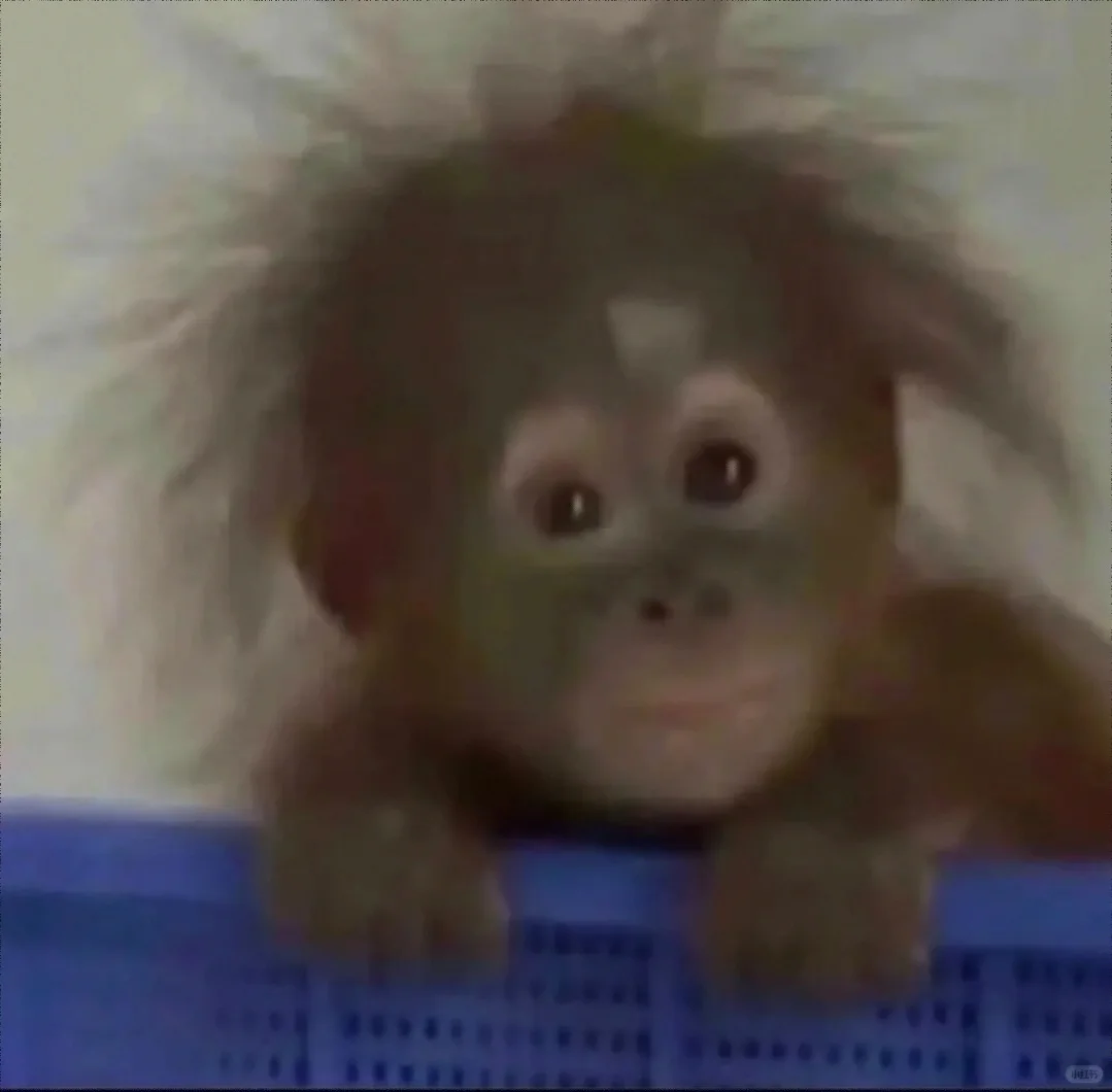 一款让领导不敢委以重任的头像&表情包