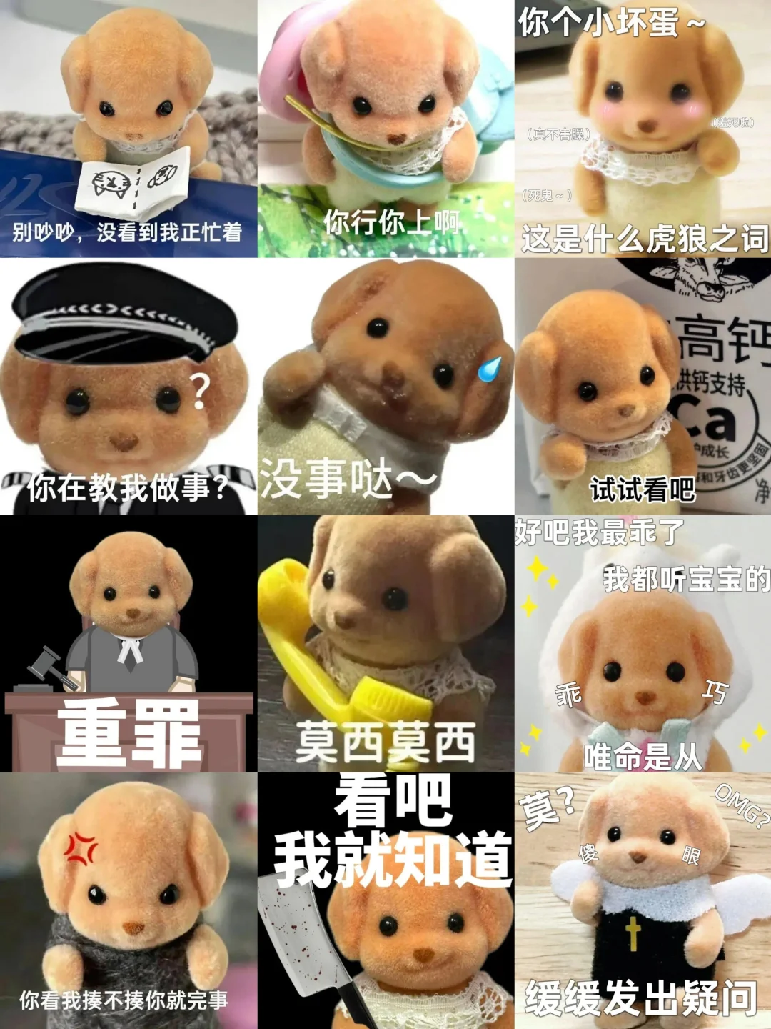 表情包合集来啦～