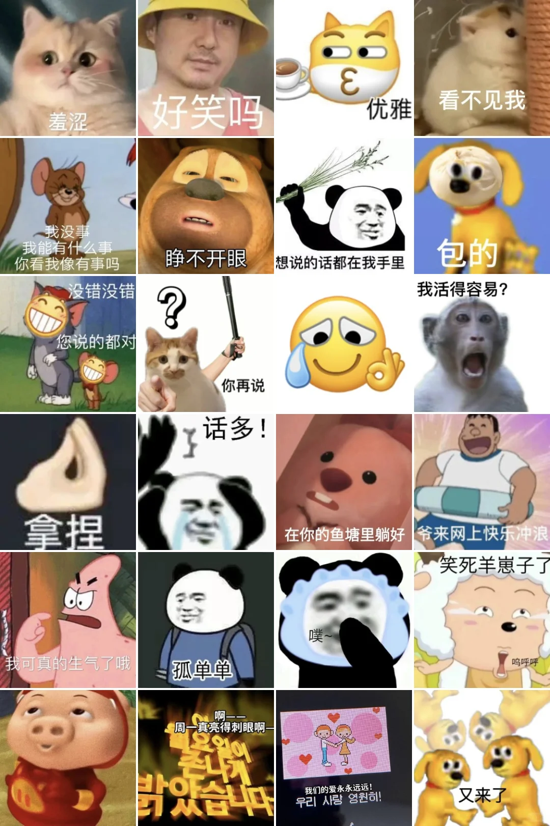 聊天必备‼️抽象搞笑有🧊表情包（99）