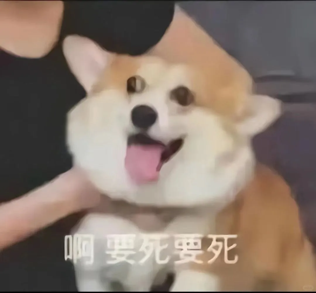 可可爱爱修勾表情包（一）