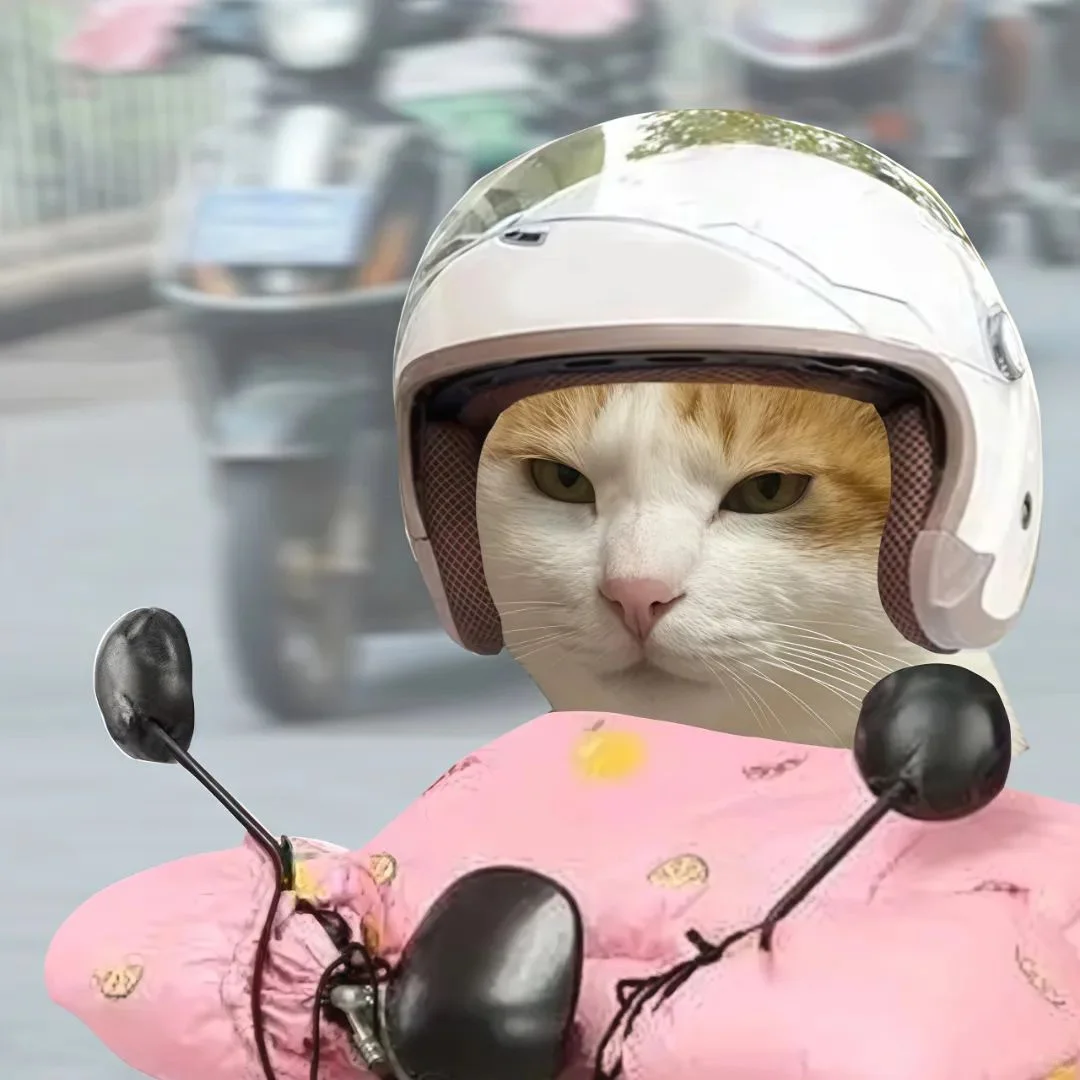 表情包 | 我的精神状态belike