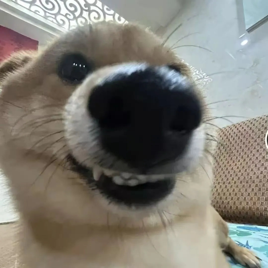 可可爱爱修勾表情包（一）