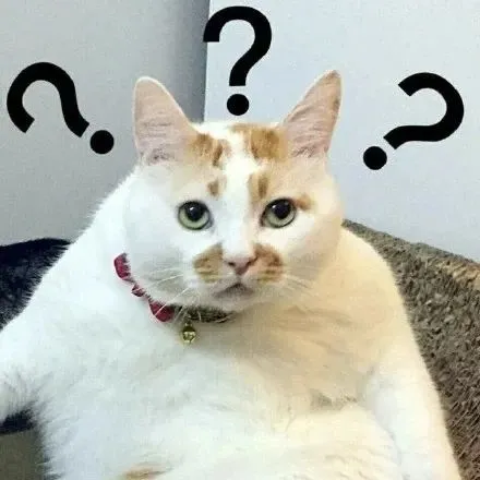 这么多？？总有你喜欢的吧