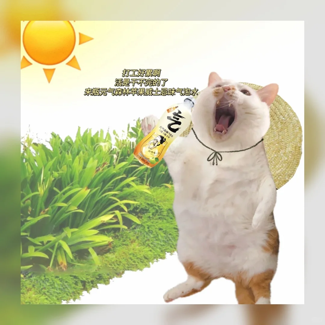 《职场必备！5个“我很忙”敷衍表情包🔥