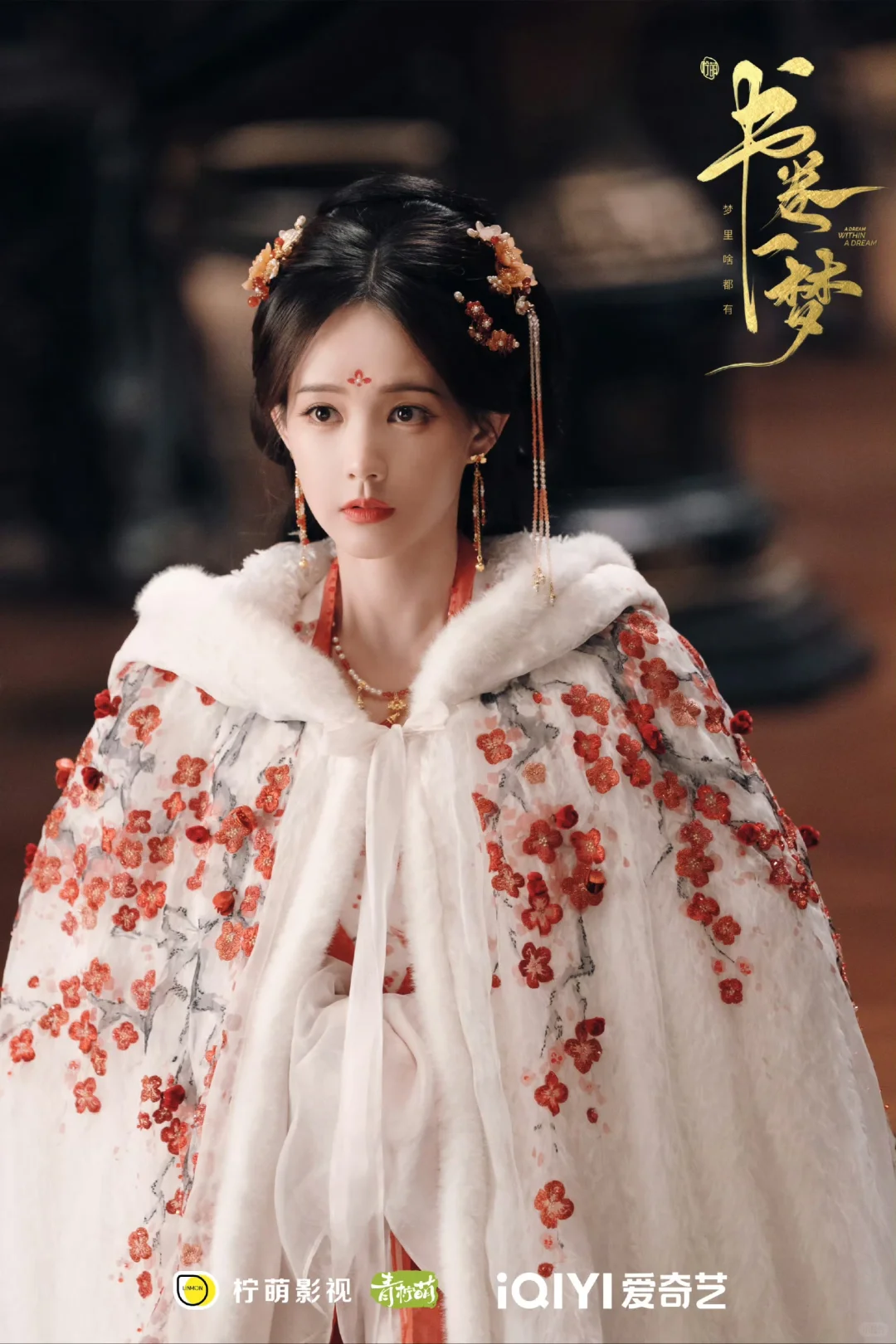 书卷一梦 李一桐的38套造型