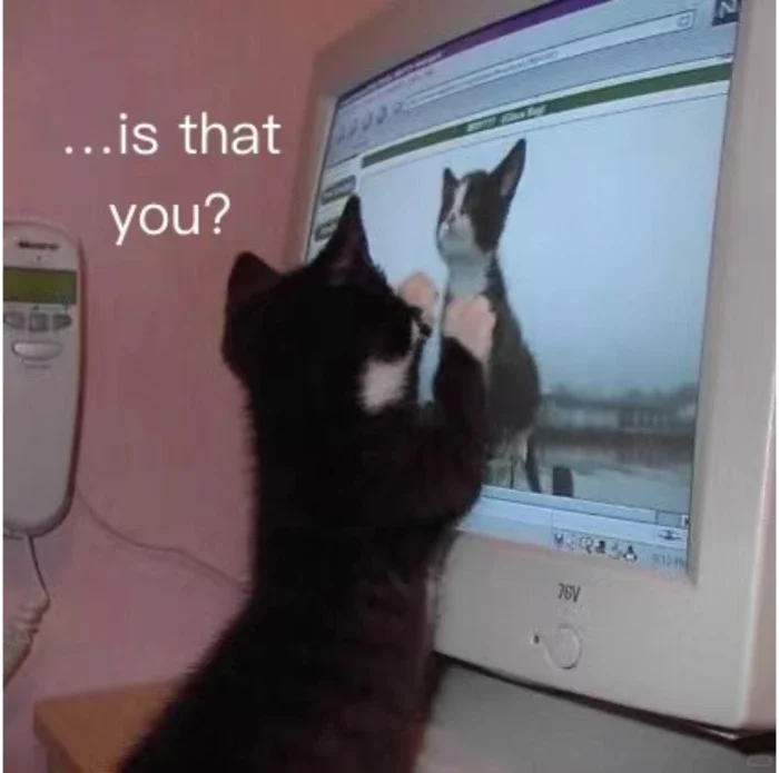 听说小红书开启了早c晚a时代！