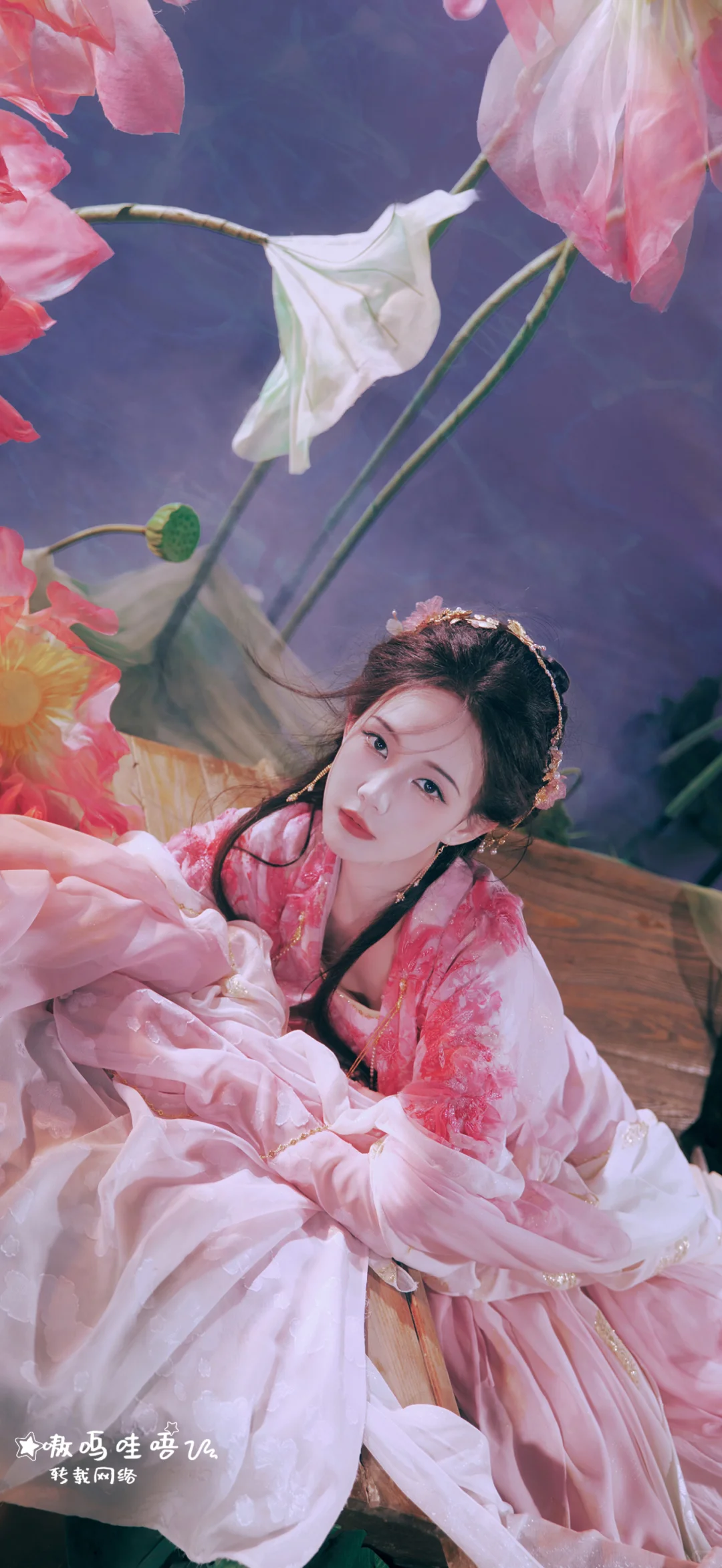 太美了，我先看了‼️